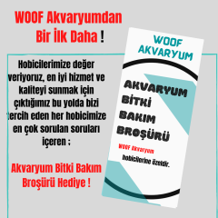 Co2 Gerekmeyen Kolay  30 Dal Bitki Paketi