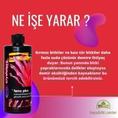 Demir Takviyesi 125 ML
