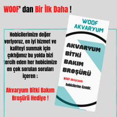 Amazon Frogbit Su Üstü Bitkisi 1 Adet Akvaryum Bitkisi