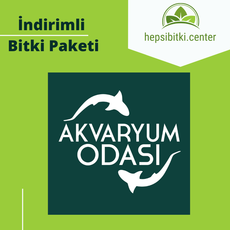 Akvaryum Odası İndirimli Full Bitki Paketi