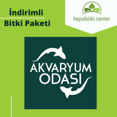Akvaryum Odası İndirimli Full Bitki Paketi 3