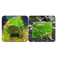 Tele Sarılı Willow Moss Harika Dekor Yeni Sarım